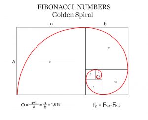 Forex trading strategies: The Fibonacci theory | Learn CFDs